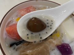 -凉凉海石花
