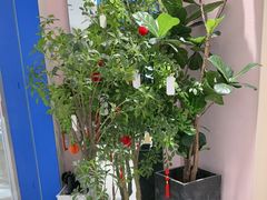 -天真蓝照相馆(杭州滨江宝龙店)