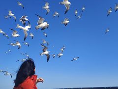 -海驴岛(荣成市)