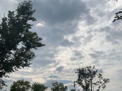 -南湖湿地公园