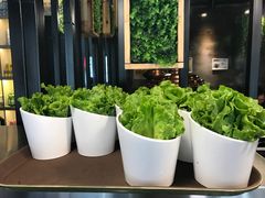 -韩聚屋韩国烤肉餐厅(新北万达店)