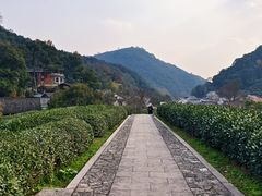 -龙井村