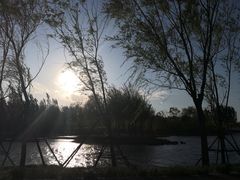 -东郊湿地公园