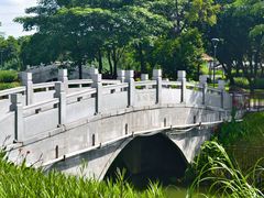 -王借岗森林公园