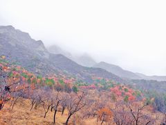 -百里山水画廊