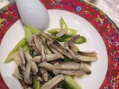 -新光酒家·河豚·海鲜·蟹料理(浦东店)