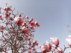 -朝阳公园