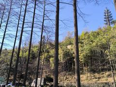 -莫干山风景区