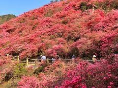 -木兰云雾山