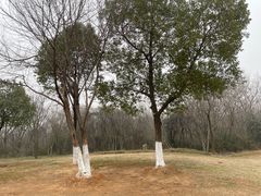 -盘龙城国家考古遗址公园