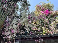 -深圳国际园林花卉博览园