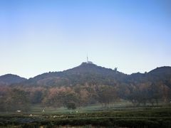 -灵顺寺