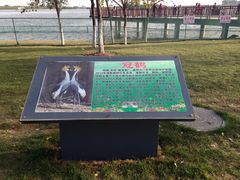 -武清南湖绿博园