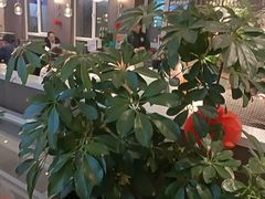-纪林菜馆·博山菜老字号(华光路店)