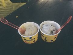 -莓园冰淇淋店