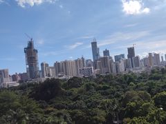 -荔枝公园(福田区)