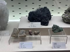 -浙江自然博物院(杭州馆)