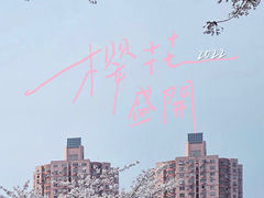 -宝山第一中心小学
