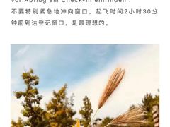 -儒圣教育外语培训