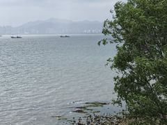 -刘公岛景区