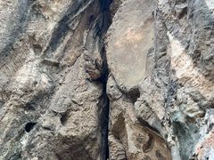 -佛慧山