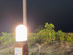 -渔家火锅·海鲜自助餐·演艺(亚龙湾天域酒店)