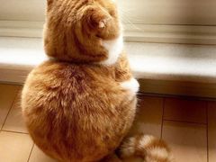 -爱畅享华为苹果手机维修服务(虹口龙之梦店)