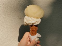 无花果叶-Dip in Gelato(富民路店)