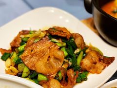 四川回锅肉-南堂館川菜文化餐厅(天府店)