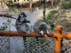 -北京野生动物园