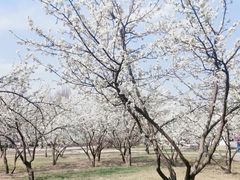 -长春公园(普阳街道)