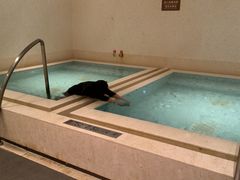 -深圳国际会展中心希尔顿酒店(前海华发冰雪世界店)