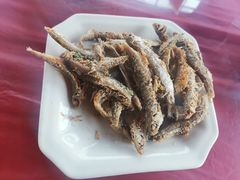 -喜洋洋蟹庄(阳澄湖店)