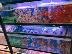 -大润发(张江店)