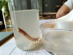 五指毛桃薏米水-炖物24章·顺时轻养茶(杭州大厦店)