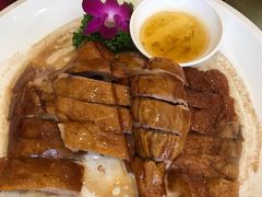 -新梅园不夜粥(龙华店)