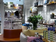 -读宠于你·约克夏比熊·睫角守宫·爬宠售卖(高新店)