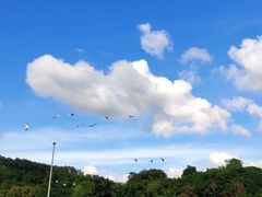 -深圳野生动物园