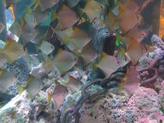 -沈阳海洋探索中心