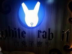 -白兔子密室(长寿路店)