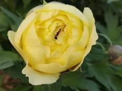 -清真马杰山牛肉汤馆