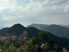 -四明山国家森林公园