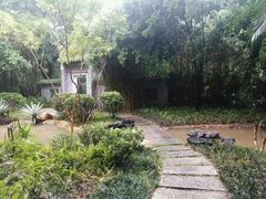 -深圳国际园林花卉博览园