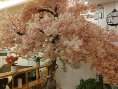 -汤里来温泉