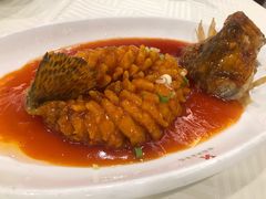 松鼠桂鱼-怡园饭店-餐厅(四望亭店)