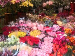 -平吉花卉市场