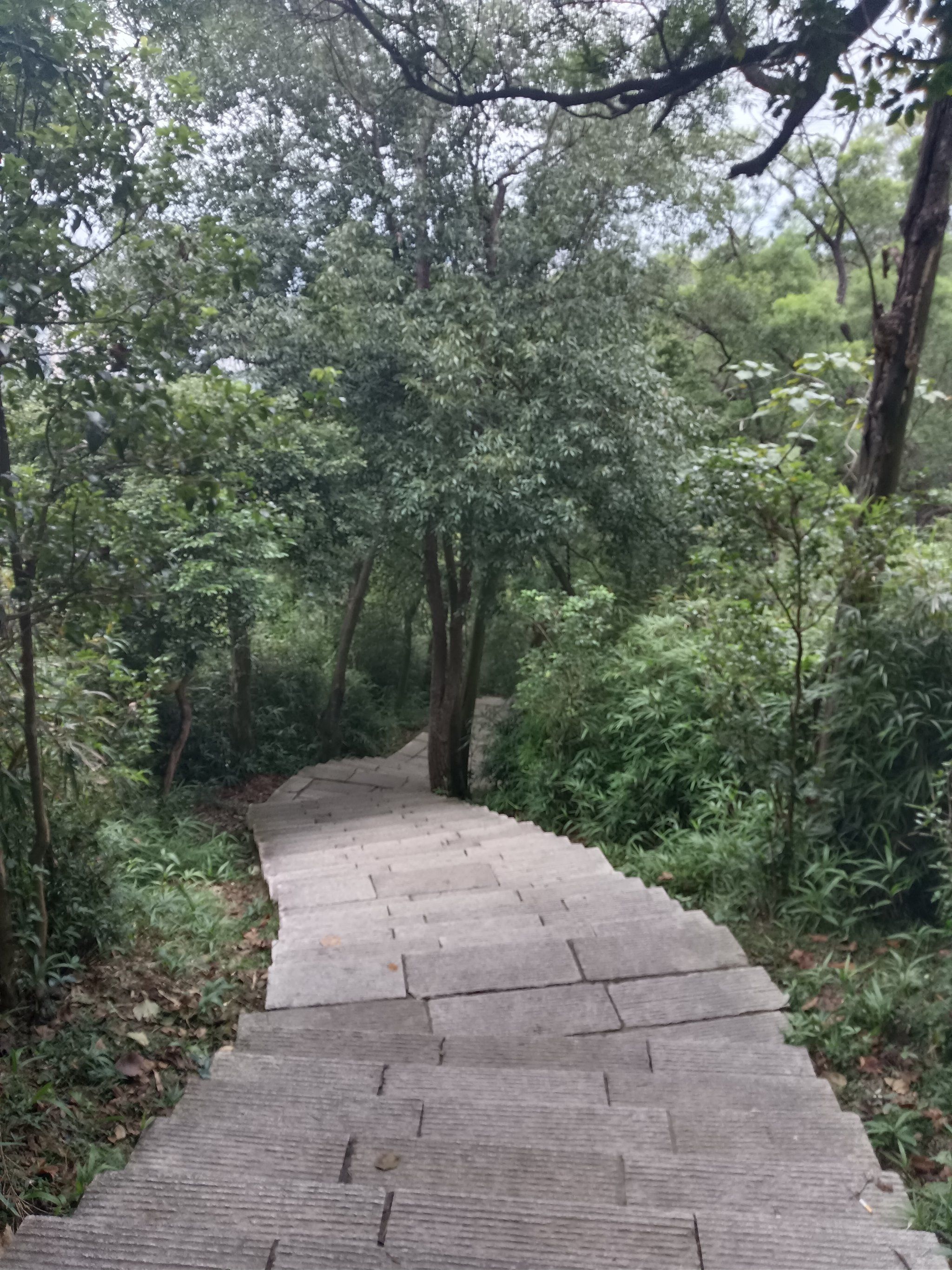 曲径通幽的山间路