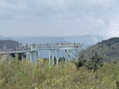 -王莽岭风景区
