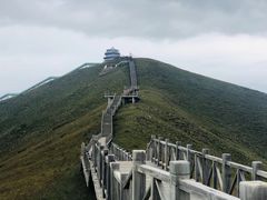 -黄河九曲第一湾