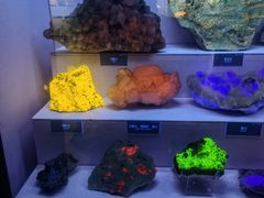 -湖南省地质博物馆